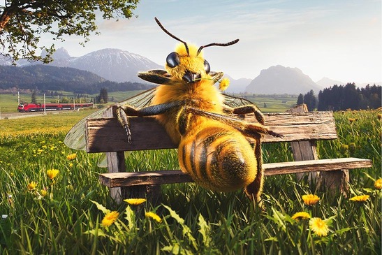© ÖBB/Illustrator3d/Christo Penev Die Schienenbiene auf einer Bank im Grünen