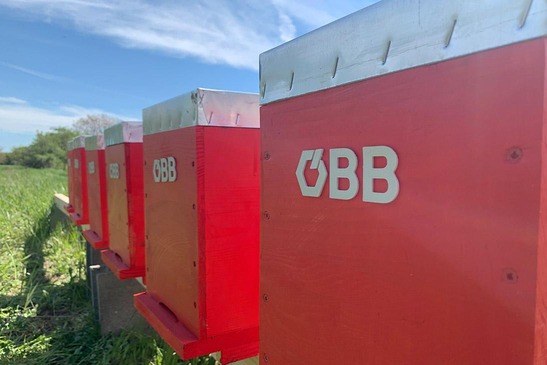 ÖBB beehives