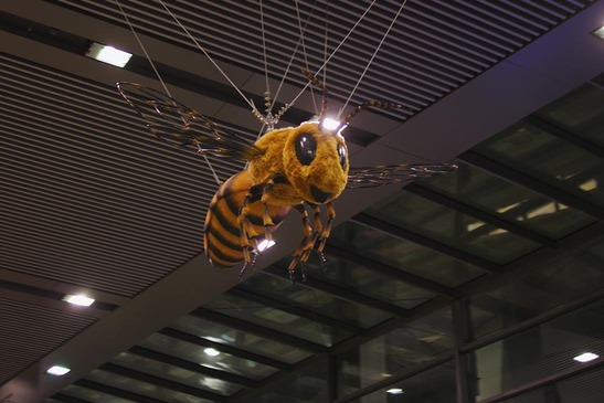 Schienenbiene hängt am Wiener Hauptbahnhof