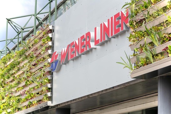 © Wiener Linien/Alexandra Gritsevskaja