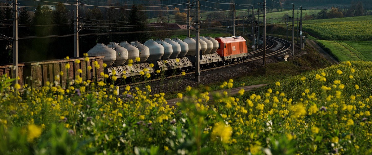 Güterzug in Landschaft