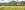 Zug in Landschaft, Blumenwiese