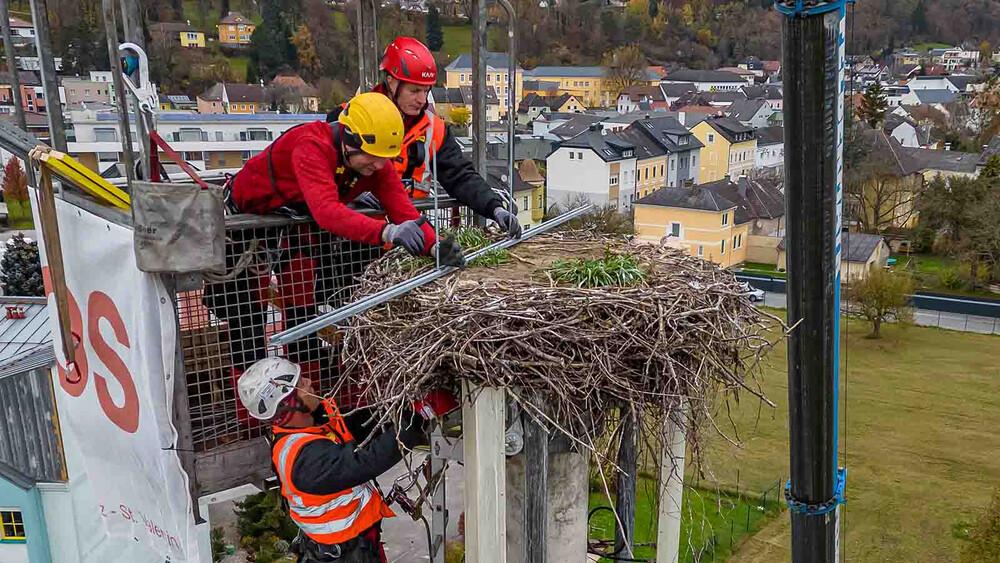 Storchnest