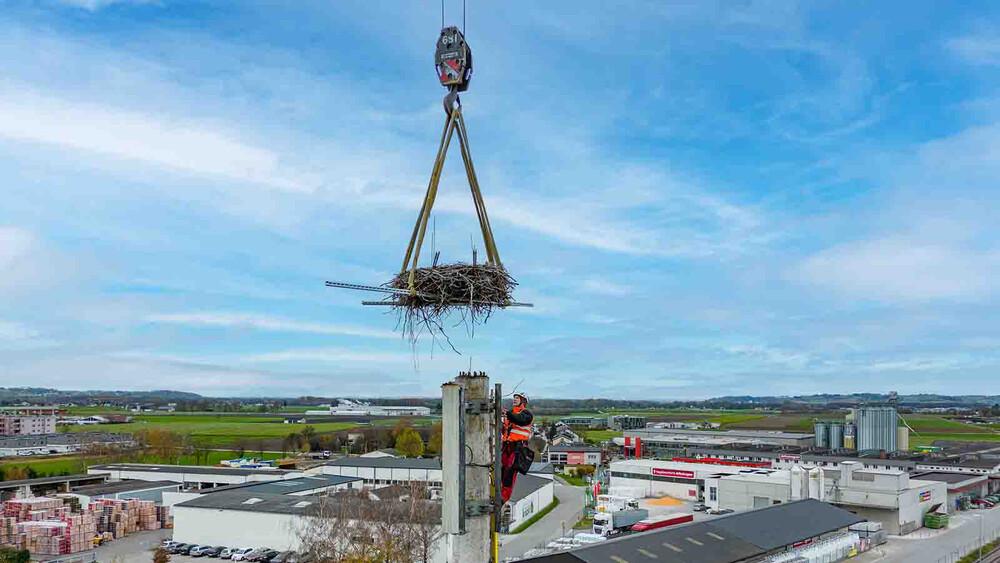 Storchnest