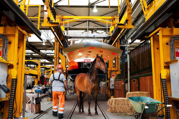 Stallwerkstatt