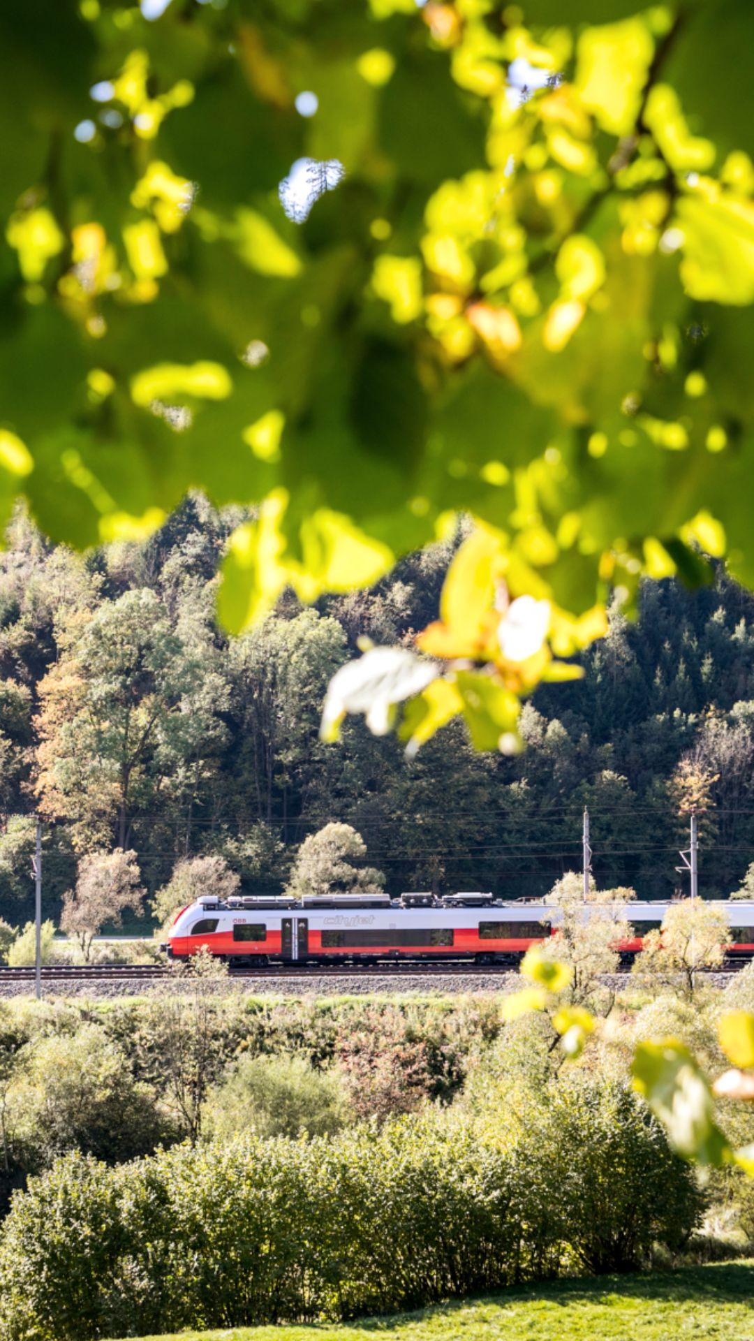 Zug in Landschaft