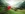 ÖBB Hintergrundbild Zug in Landschaft