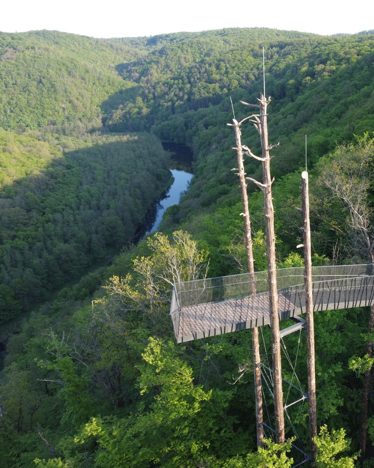 Ausflugstipps Niederösterreich: Im Nationalpark Thayatal bietet die Aussichtswarte „Umlaufblick“ einen einzigartigen Ausblick auf das Thayatal.