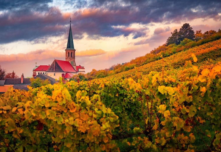 Ausflugstipp Niederösterreich: Blick auf die Kirche Gumpoldskirchen. 