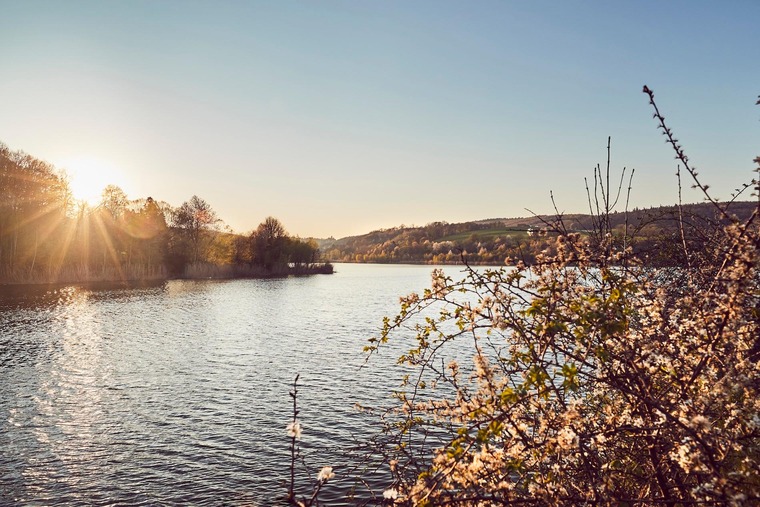 Wienerwaldsee: Ein beliebtes Ausflugsziel in Niederösterreich. Im Bild ein Blick auf den See in der Abendsonne. 
