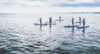 Bregenz Sehenswürdigkeiten: Blick auf den Bodensee mit vielen Stand-up-Paddlern