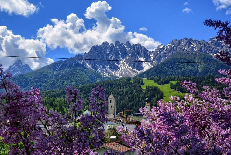Pustertal: Ein Blick auf den Ort Innichen und die dahinterliegenden, schneebedeckten Gipfel an einem Frühlingstag. Im Vordergrund die Blüten an einem Baum.  