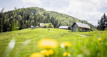 Das Salzkammergut und seine Schätze mit der Bahn entdecken