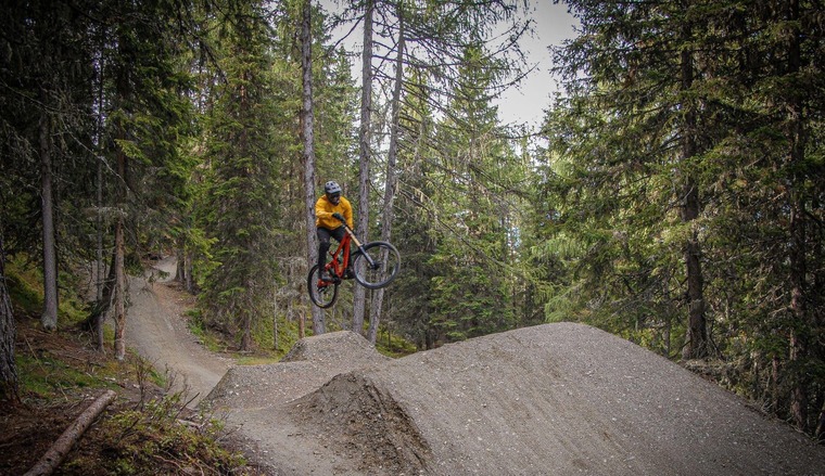 Schladming: Ein Biker springt auf der Downhillstrecke im Bikepark Schladming über ein Hindernis, im Hintergrund der Wald. 