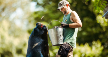 Die schönsten Tiergärten Österreichs
