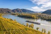 Zu den Wachau Sehenswürdigkeiten gehören die Wachau Schifffahrt. Auf dem Bild sieht man einen Donau-Cruiser. Auf dem Bild ist ein Schiff auf der Donau zu sehen. Zudem sieht man Weinreben, Berge und eine schöne Landschaft.<br/><br/>