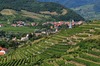 Zu den Wachau Sehenswürdigkeiten gehören die Weine der Region. Auf dem Bild sieht man die Weingärten vor Dürnstein. 