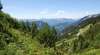 Aussicht auf Wald, Wiesen und Berggipfel