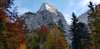 Blick von unten hoch auf Baumwipfel und Berggipfel in Tirol