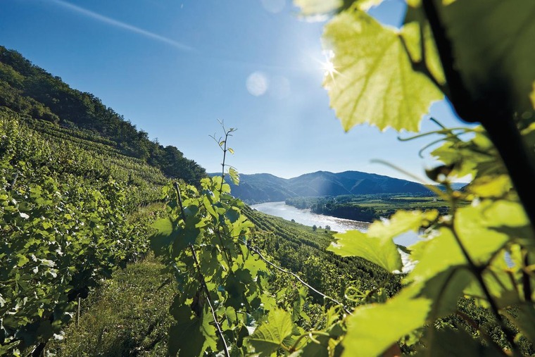 Fahrraddfahren in der Wachau