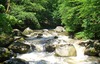 Wandern auf dem Natura Trail an der Feldaist in Oberösterreich