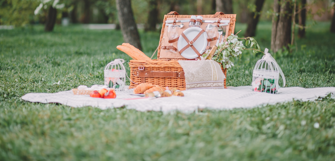 Picknicken in Wien an den schönsten Orten.