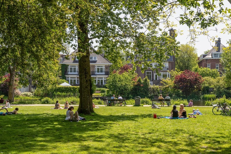Zu den Sehenswürdigkeiten in Amsterdam gehört der Vondelpark. Auf dem Bild zu sehen ist eine Picknickwiese vom Vondelpark.
