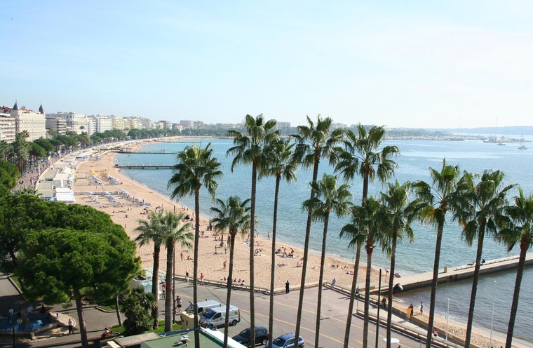 © France Tourisme/Pierre Behar Cote d'Azur: Blick auf den Strand von Cannes, im Vordergrund Palmen. Es ist ein sonniger Sommertag, daher sind viele Menschen am Strand, darüber der blaue Himmel.