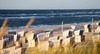 Zum Sylt Urlaub gehören die Strandbäder. Auf dem Bild sieht man ein Strandbad mit vielen klassisch blau-weißen Strandkörben. Im Vordergrund steht Schilfgras, das sich im Wind beugt. 