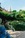 Zu den Venedig  Sehenswürdigkeiten gehört der Giardini Reali. Im Bild ein Blick auf den Garten, die Stadt im Hintergrund. 