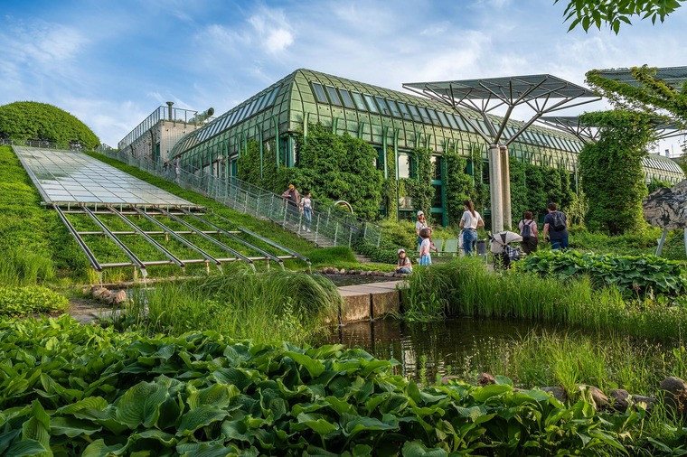 Zu den Warschau Sehenswürdigkeiten gehören die Universitätsdachgärten. Auf dem Bild zu sehen ist ein Dachgarten der Universität mit sehr vielen grünen Pflanzen und einem kleinen Teich.