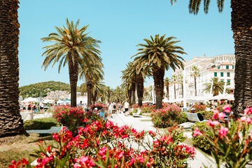 Blick auf die Uferpromenade Riva
