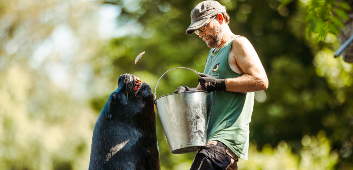 Die schönsten Tiergärten Österreichs