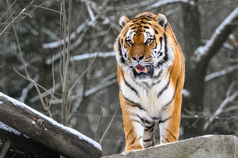 Tierpark Haag