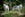 Wildpark Ernstbrunn