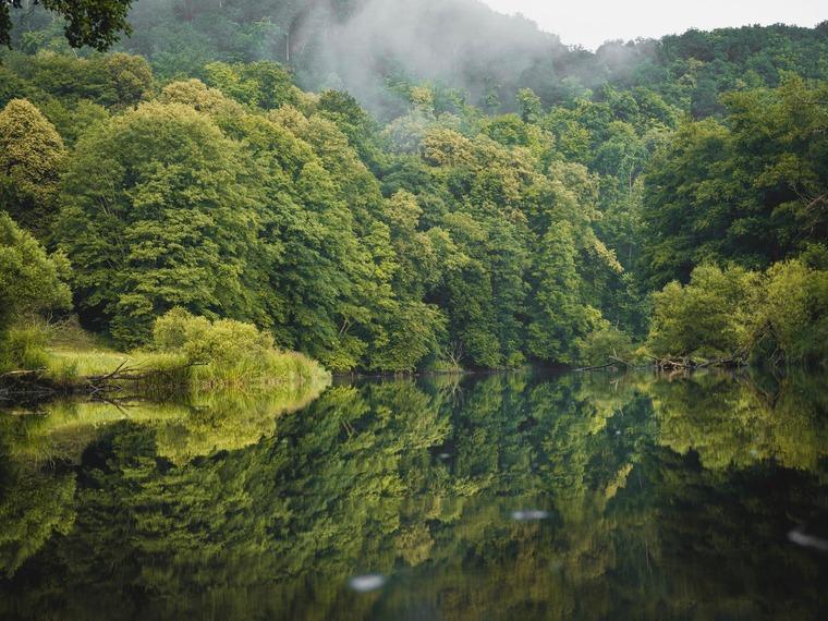 Wandern am Wasser im Nationalpark Thayatal