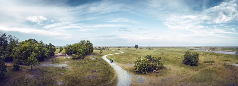 Wanderer bei Sandeck im Nationalpark Neusiedler See-Seewinkel