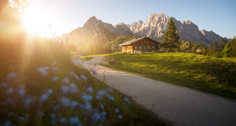 Mit dem Zug in die Alpen