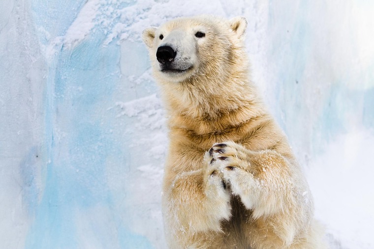 Zoobesuch mit Kindern im Winter