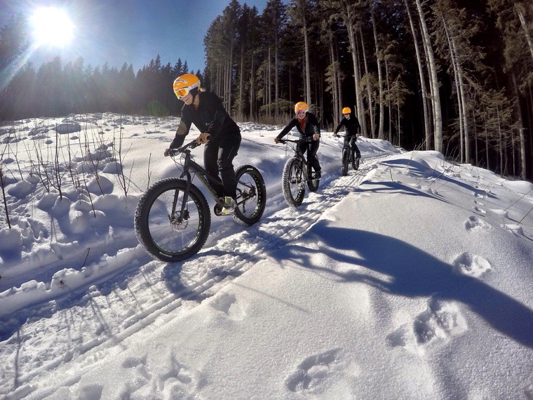 Menschen auf einer Fatbike-Tour in Schladming-Dachstein