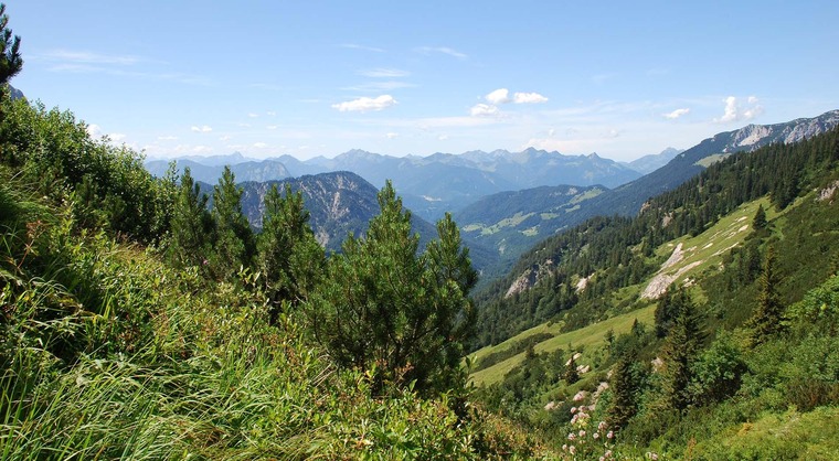 Aussicht auf Wald, Wiesen und Berggipfel