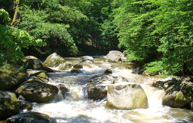 Wandern auf dem Natura Trail an der Feldaist in Oberösterreich