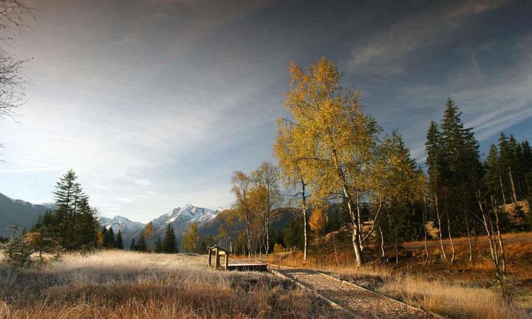 Wandern auf dem Natura Trail in der Moorlandschaft Pass Thurn in Salzburg