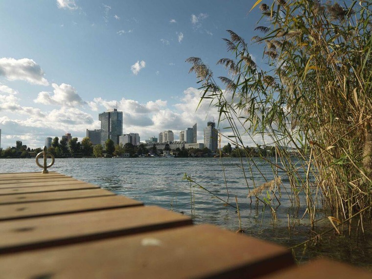 Picknick an der Donau.