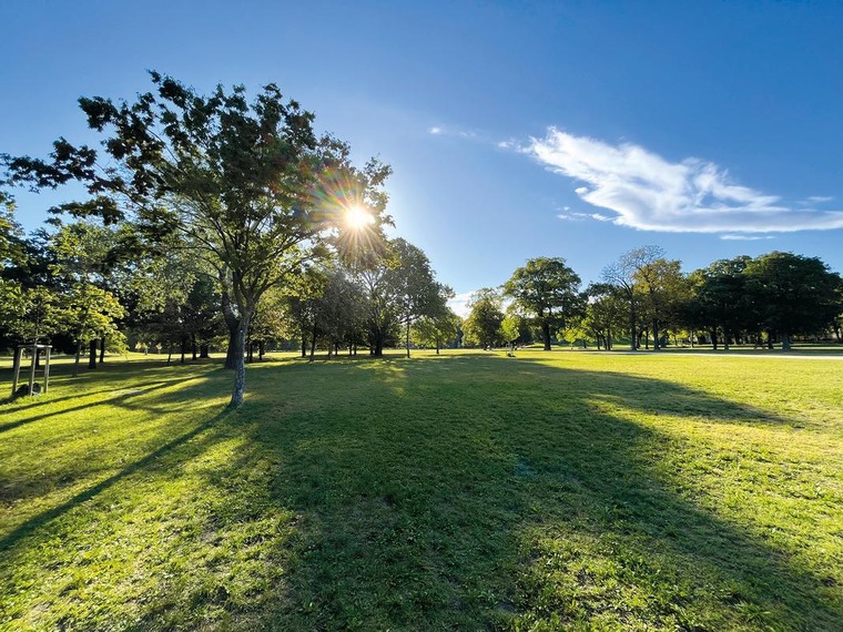 Picknicken auf der Jesuitenwiese beim Wiener Prater.