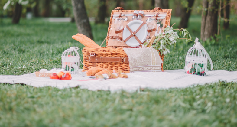 Picknicken in Wien an den schönsten Orten.