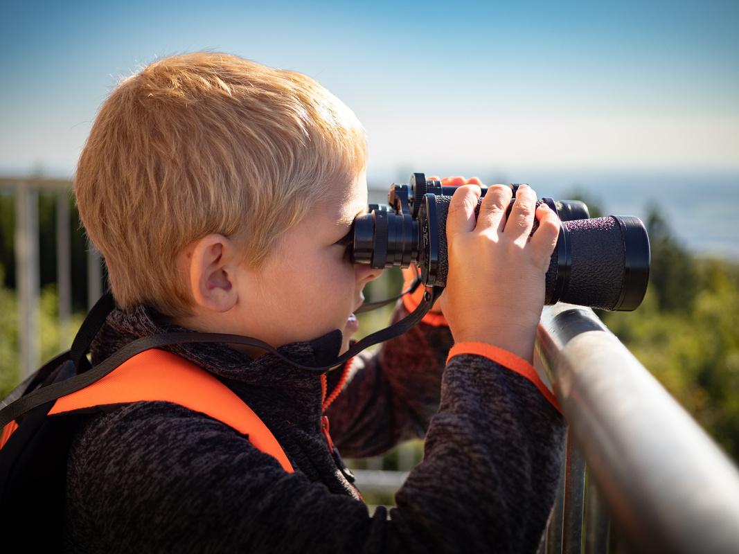 Den Neusiedler See mit Kindern entdecken.