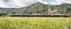 Zug in Landschaft, Blumenwiese