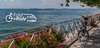 Bregenz Panorama auf See