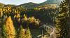 Ausflugsziele Niederösterreich: Semmeringbahn - Auf dem Bild sieht man in Vogelperspektive die Gleise der Semmeringbahn umgeben von einem Wald.